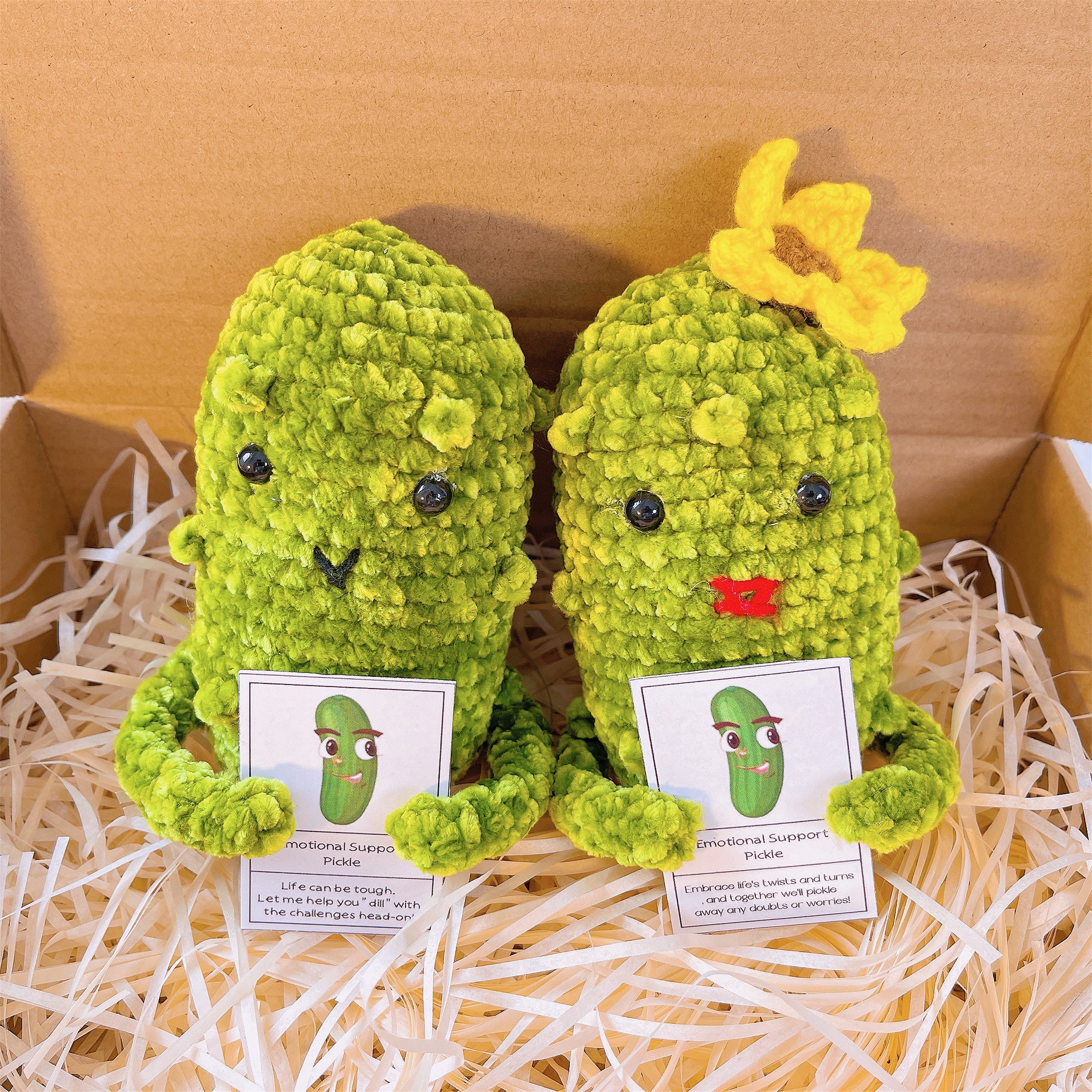 Custom Text Emotional Support Pickles for Bundle Set Get Well Handmade Positive Gift for Pickle Lover Stay Happy Motivated New Year Resolution Gift Exchange Family Giving - The Bloom Crafter
