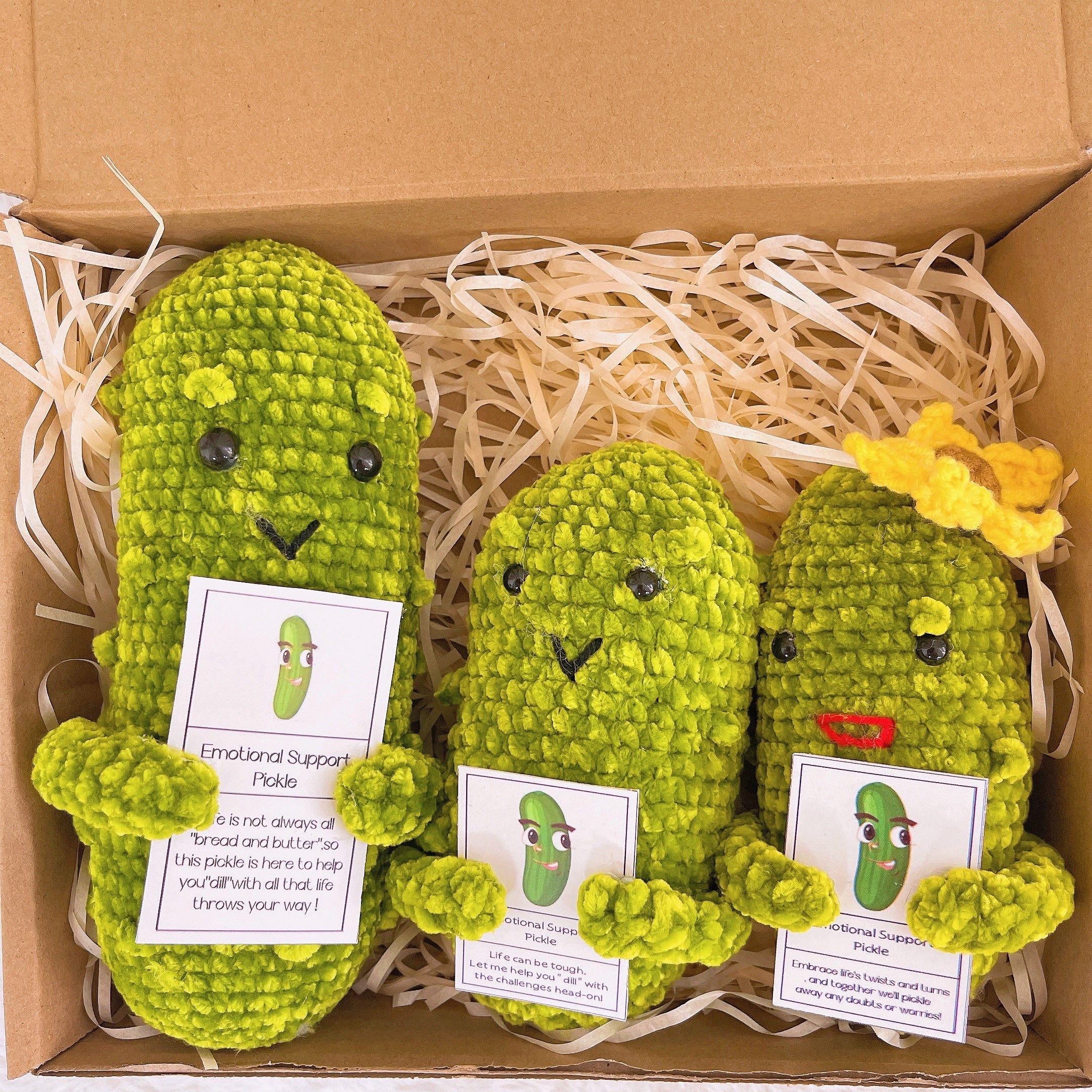 Custom Text Emotional Support Pickles for Bundle Set Get Well Handmade Positive Gift for Pickle Lover Stay Happy Motivated New Year Resolution Gift Exchange Family Giving - The Bloom Crafter