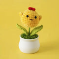 Crochet Animal Head White Pot Series