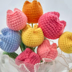 Crochet Colorful Tulip Bouquet with Transparent Wrapping