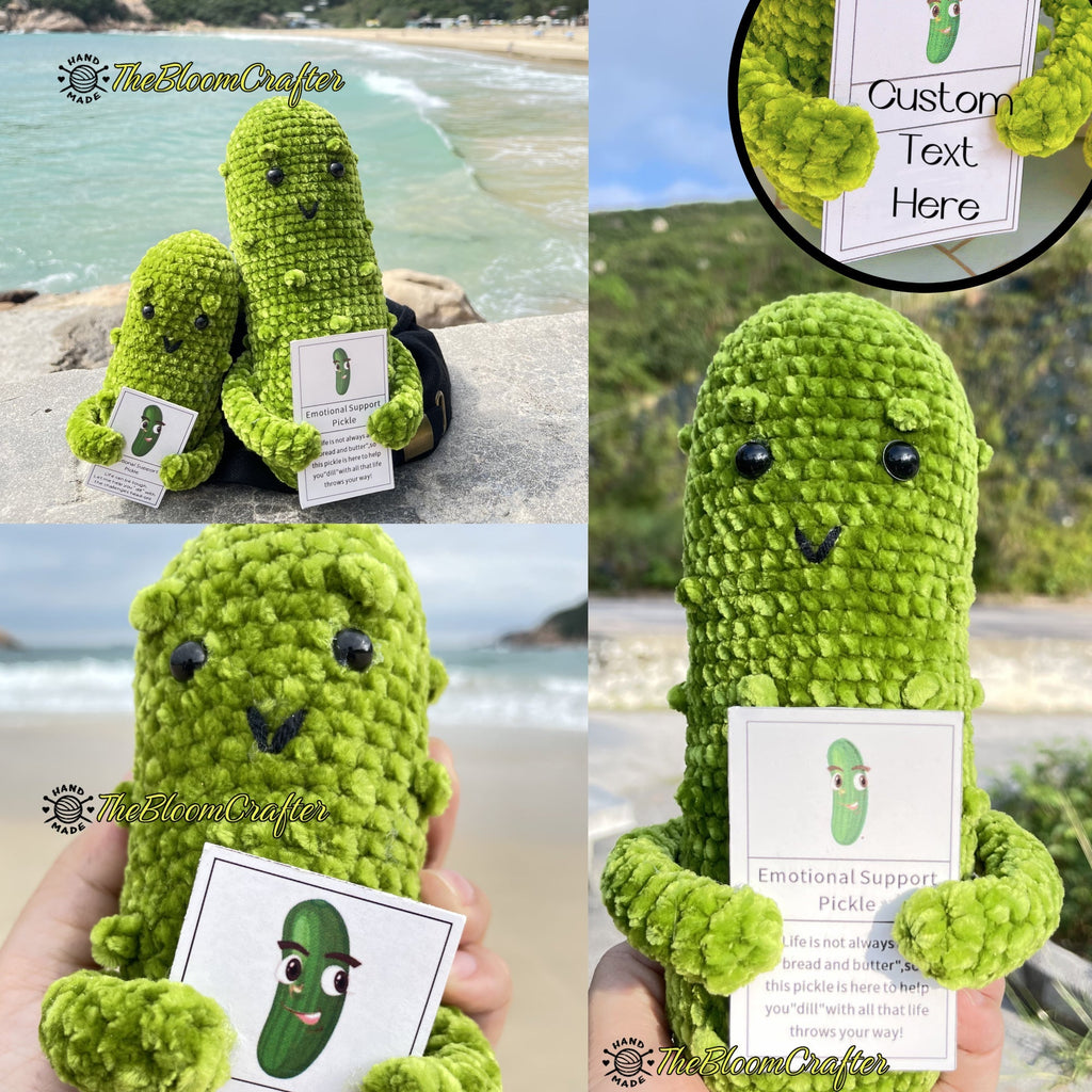 Custom Text Emotional Support Pickles for Bundle Set Get Well Handmade Positive Gift for Pickle Lover Stay Happy Motivated New Year Resolution Gift Exchange Family Giving - The Bloom Crafter