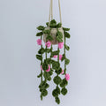 Long Crochet Hanging with Small Pink Flowers