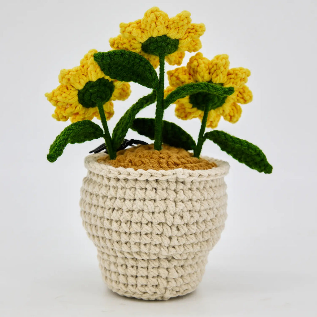 Skull Sunflower Pot with Spider