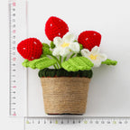 Crochet Strawberry Pot
